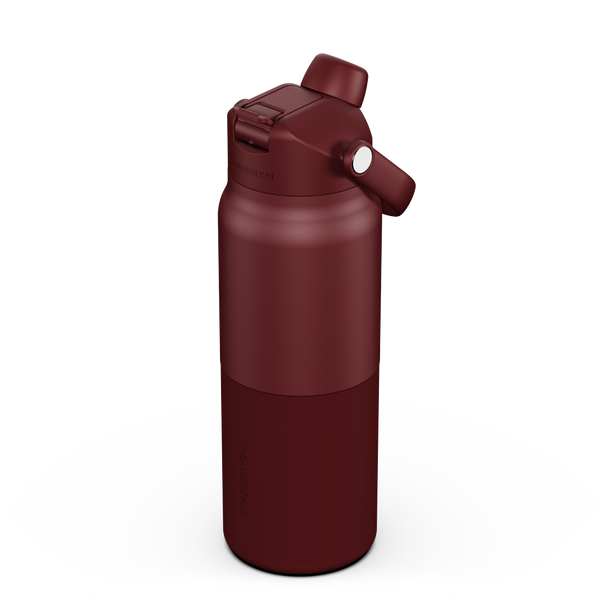 Insulated Bottle 1L - Plum
