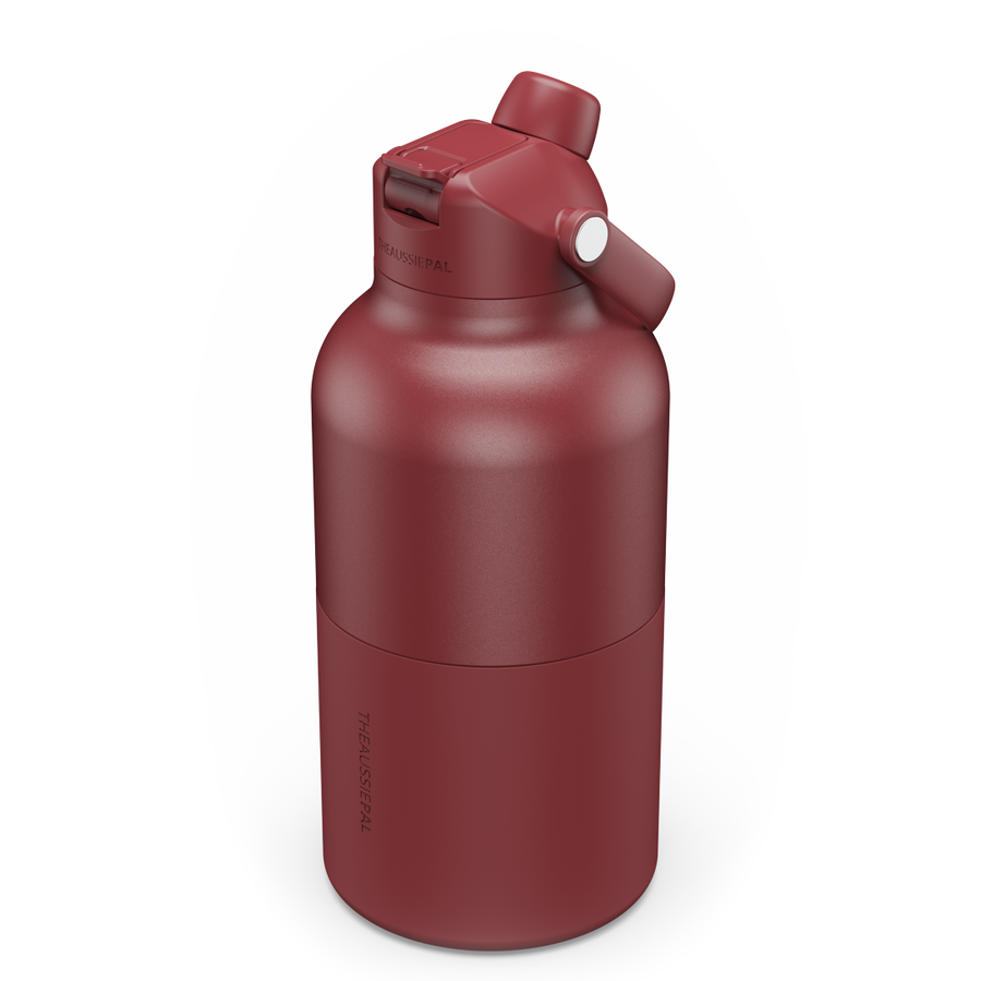 Insulated Bottle 2L in Plum
