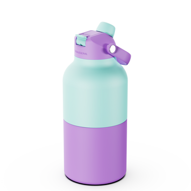 Insulated Bottle 2L