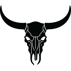 Bull Skull