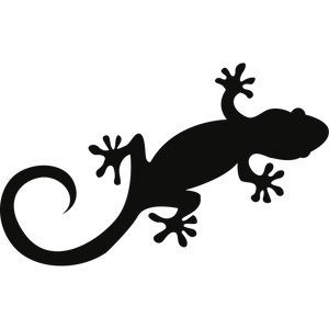 Gecko